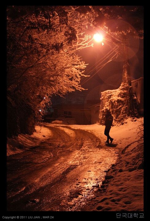 夜雪 (5)<br />
