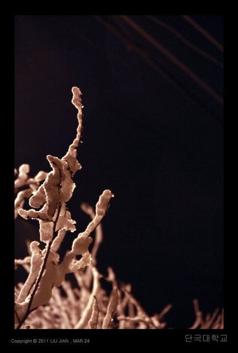 夜雪 (6)<br />
