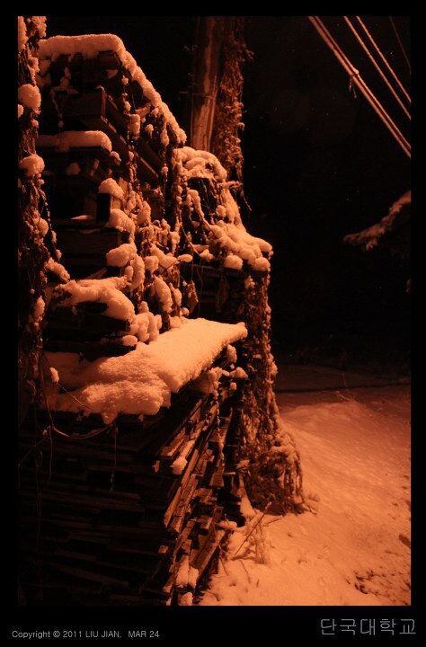夜雪 (7)<br />
