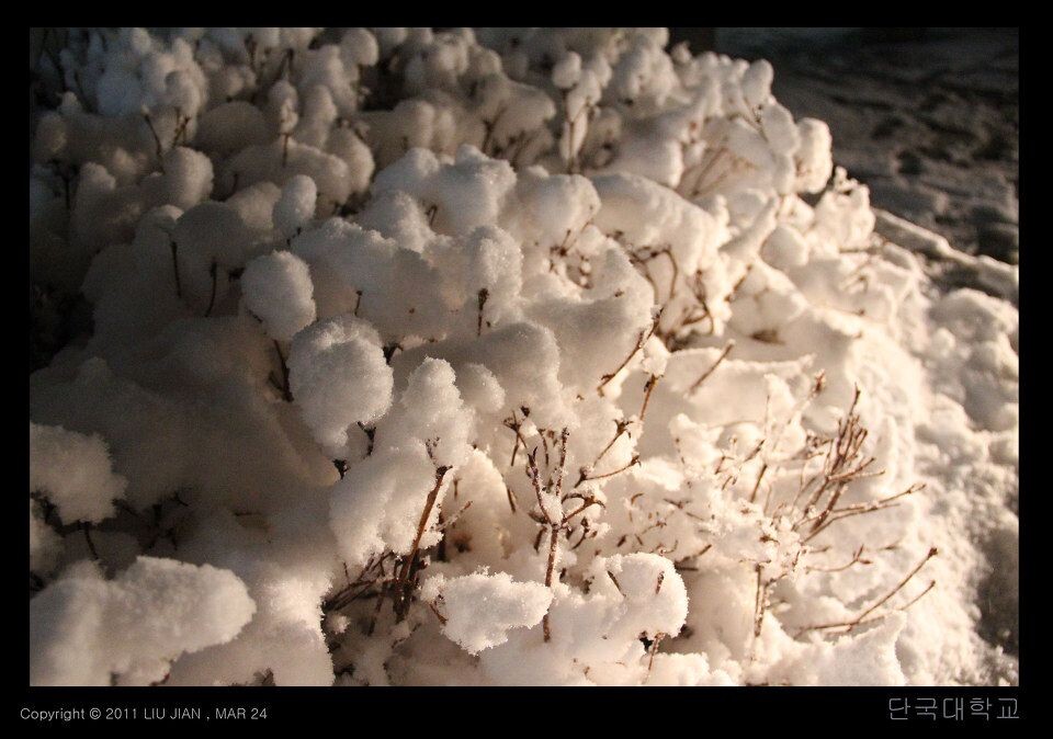 夜雪 (8)<br />
