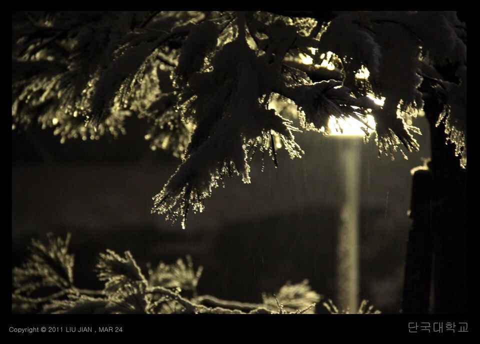 夜雪 (9)<br />
