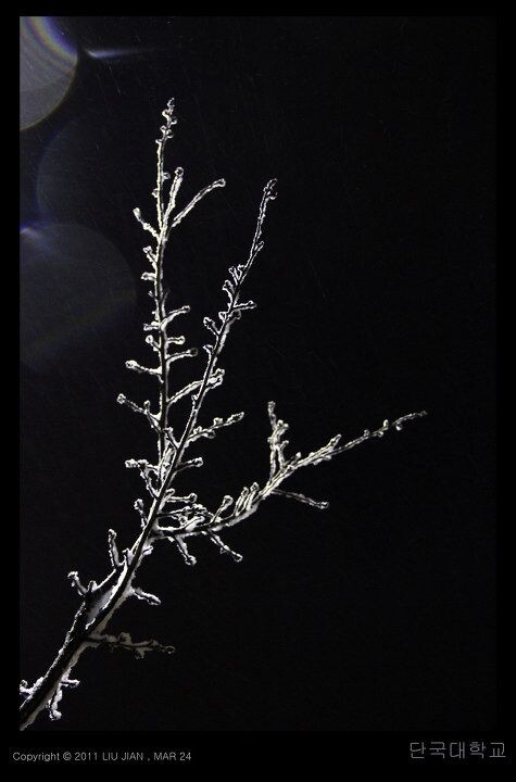 夜雪 (10)<br />

