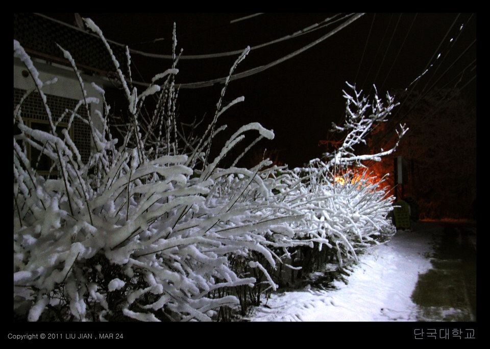夜雪 (12)<br />
