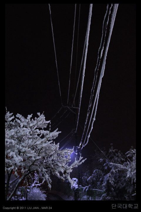夜雪 (13)<br />
