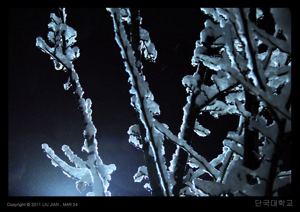 夜雪 (14)<br />
