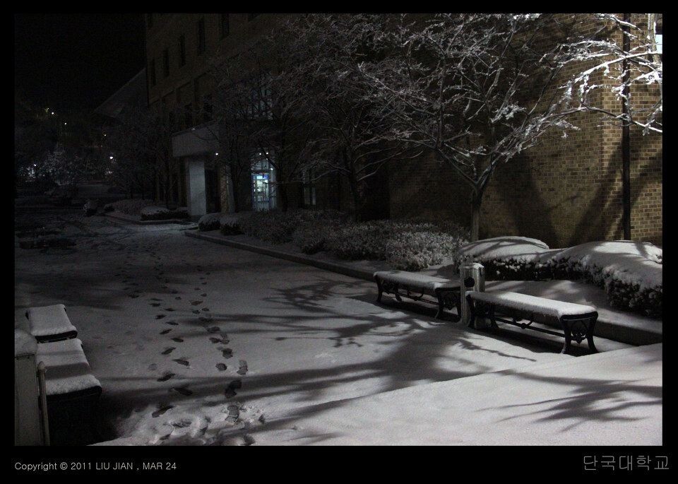 夜雪 (15)<br />
