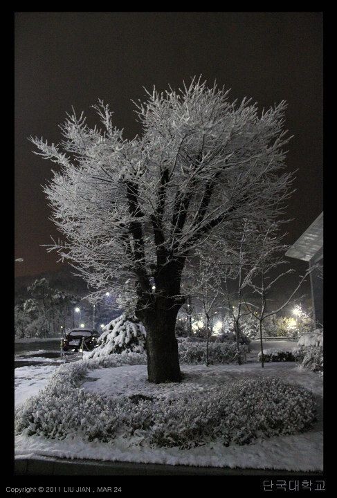 夜雪 (16)<br />
