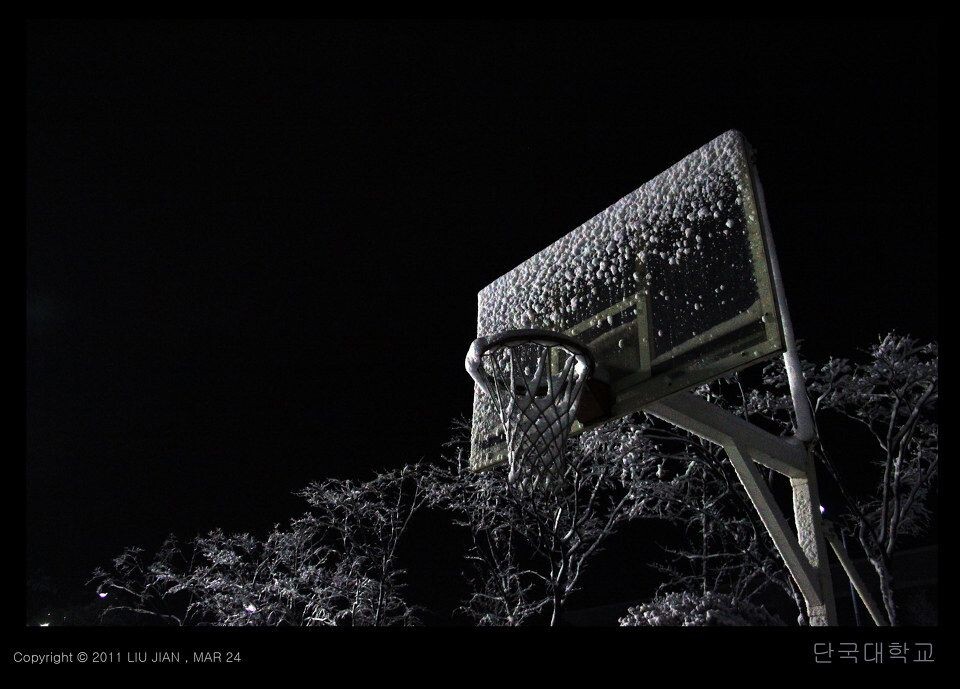夜雪 (17)<br />
