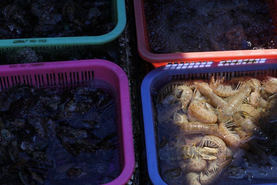 海虾<br />
广州南沙市场的一个角落
