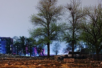 入夜后4.jpg