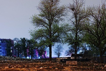 我家的夜景-4.jpg