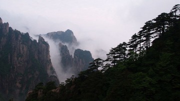 P5233931