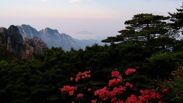 晨