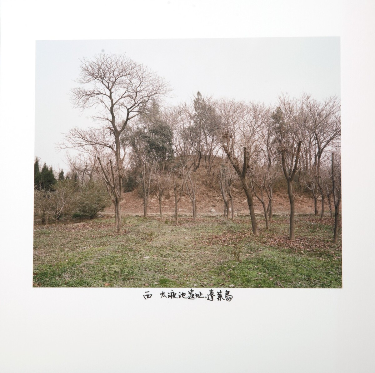 西-太液池蓬莱仙岛,2018