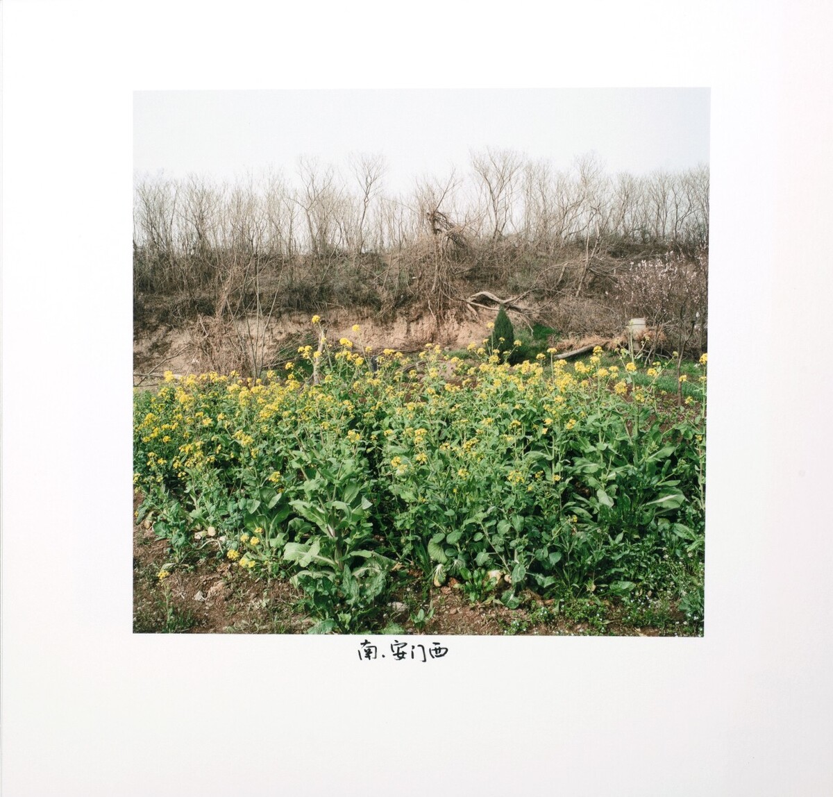 南-安门西,2017