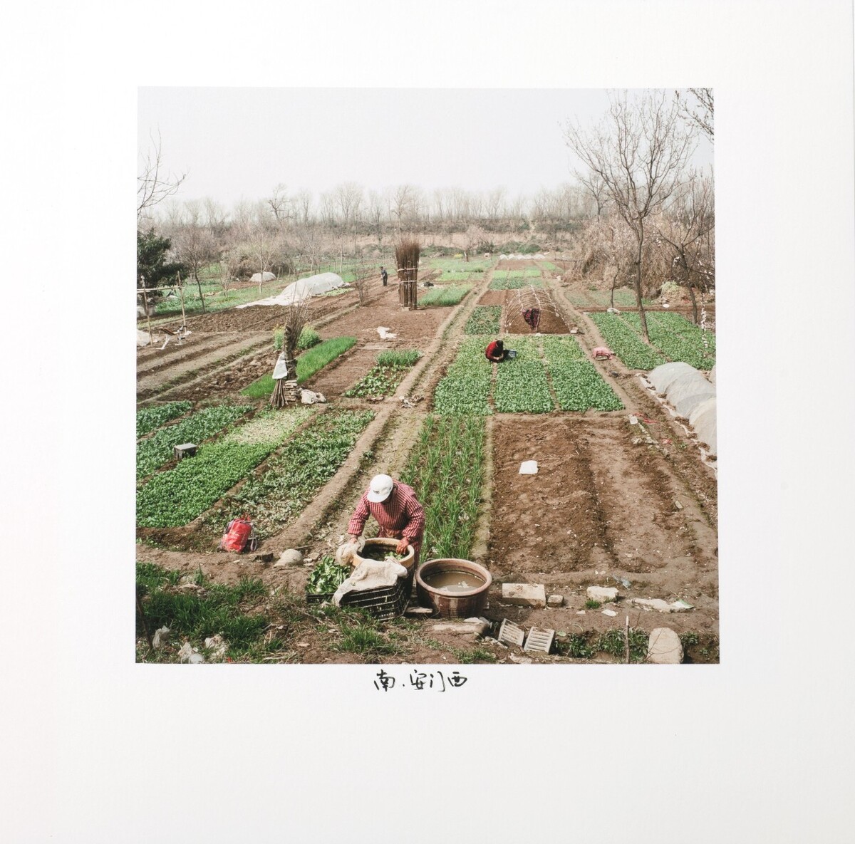 南-安门西,2017