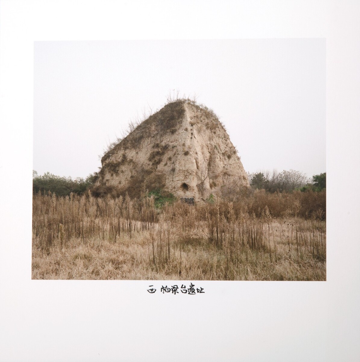 西-柏梁台,2018