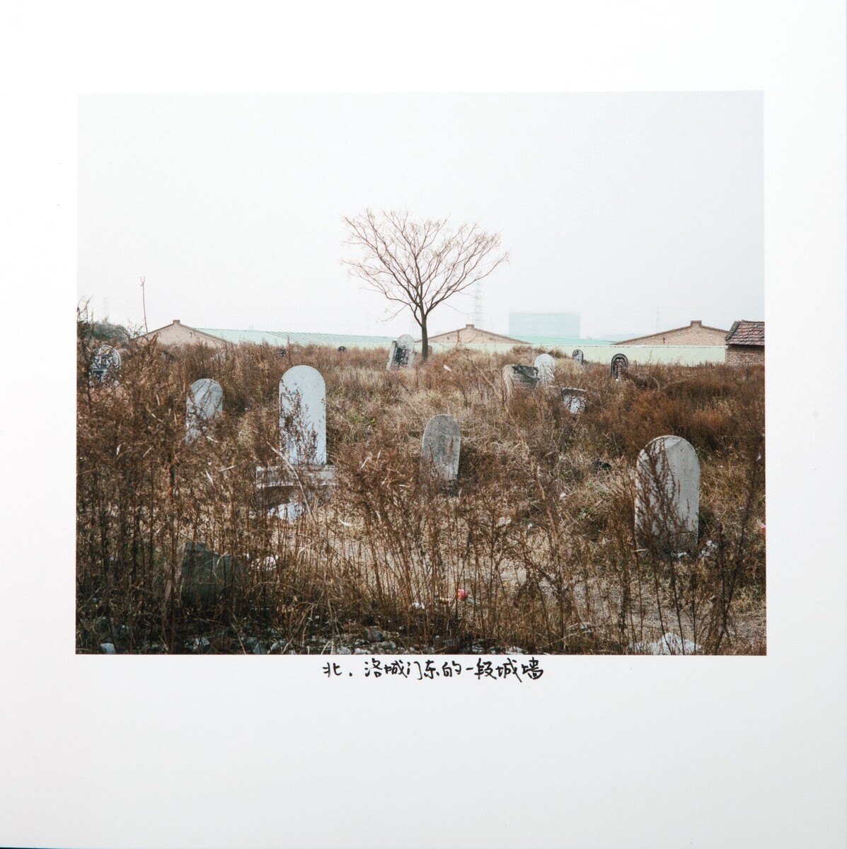 北-洛城门东的一段城墙,2018