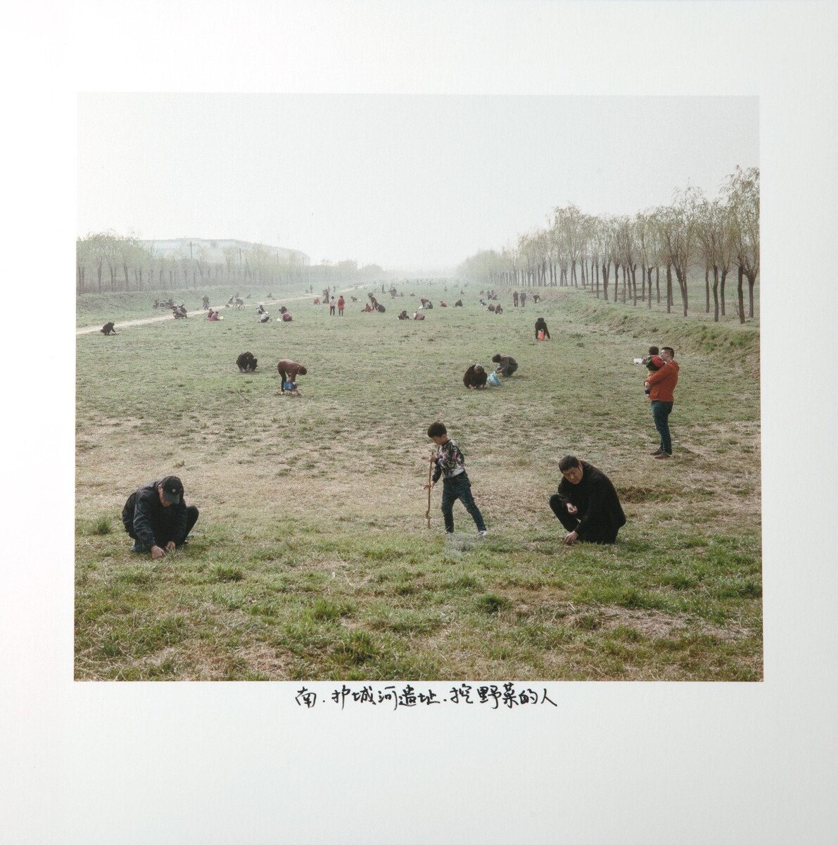 南-护城河遗址-挖野菜的人,2017
