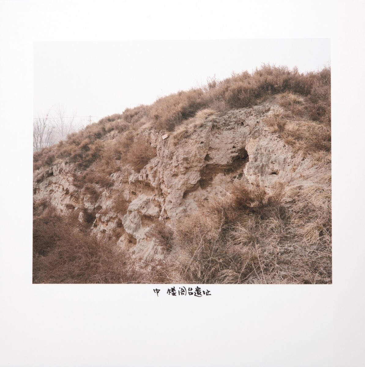 中-楼阁台遗址,2018