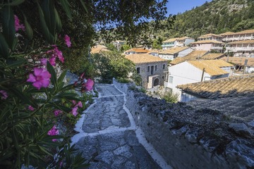 G0017716