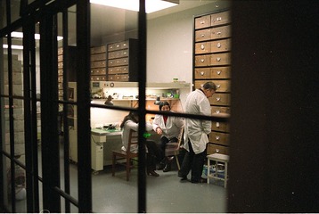 Batch Pict10001.jpg