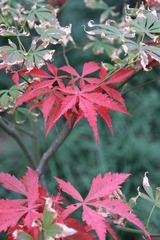 IMG_0925.JPG