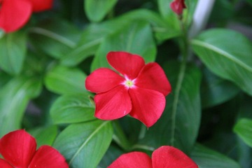 IMG_0883.JPG