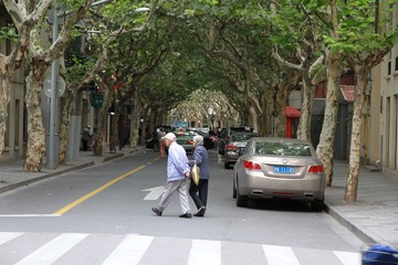 IMG_0877.JPG
