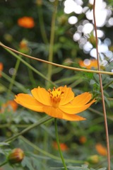IMG_1278.JPG