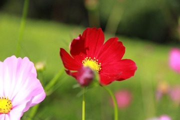 IMG_1350.JPG