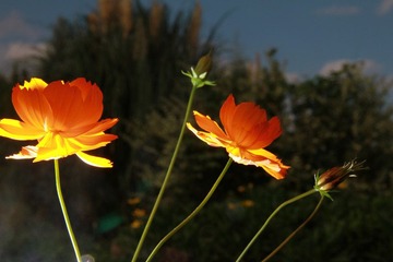 IMG_1428.JPG