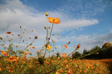 IMG_1492.JPG