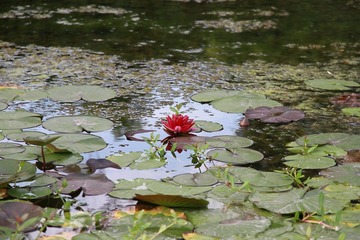 IMG_1508.JPG