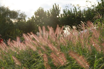 IMG_1525.JPG