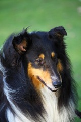 IMG_1829.JPG