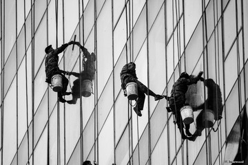 _DSC0316