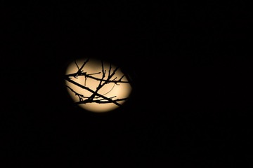 _DSC0604