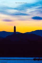 _DSC1145