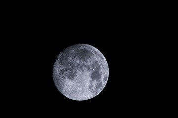 _DSC9016