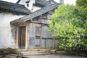 屋前树 树前屋