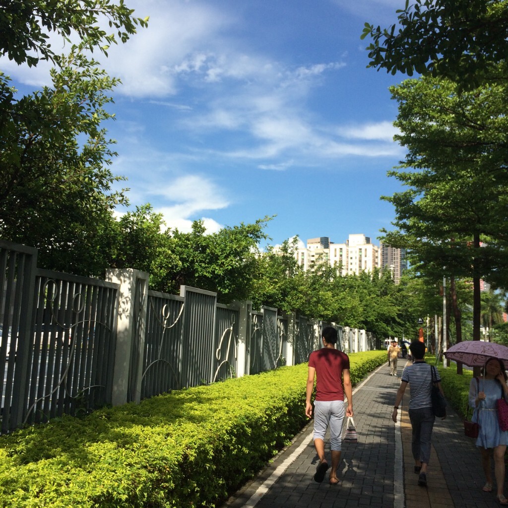 上班路上随拍...