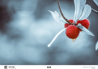 EAE7F30E-704E-4CFC-BD98-406C5E5870C6/L0/001