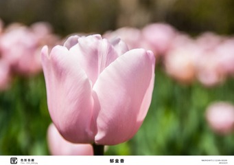 4E4DD61F-862F-46D7-8434-25694A6092EA/L0/001