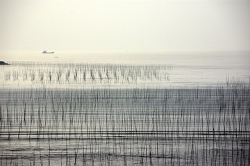 20100502-_DSC3353