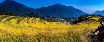 DSC_9955-Pano