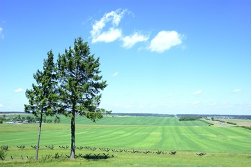 20100612-_DSC9101