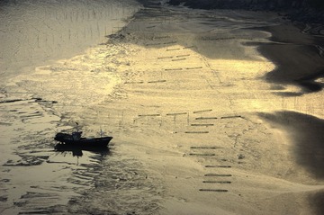 20100430-_DSC2308