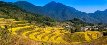 DSC_9919-Pano