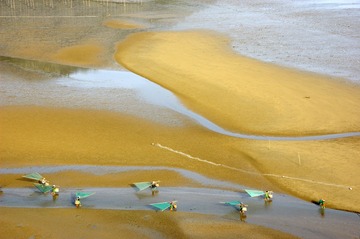 20100501-_DSC2834